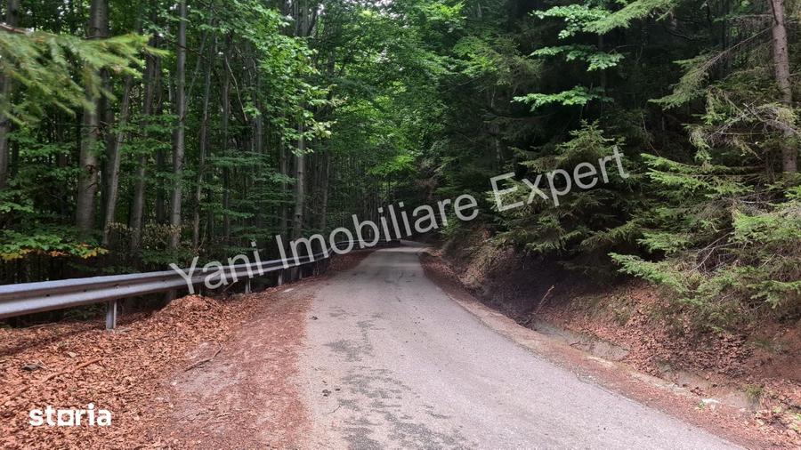 Teren de vanzare pe Transfagara?an, zona Molivi?u ( 69.450 mp ) - 9