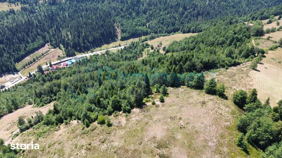 Teren de vanzare in Arieseni, izvor si curent Gaminvest V4654 - 2