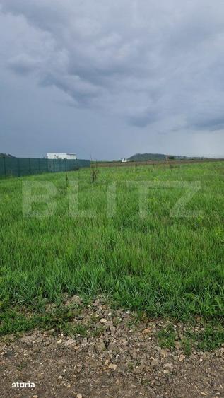 Teren pentru casa intravilan , 800 mp deschidere la drum Bod - 3