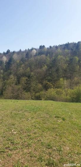 Teren de 5742 mp, în Bratca