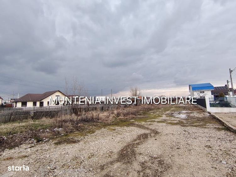 Spațiu comercial, în Bradu