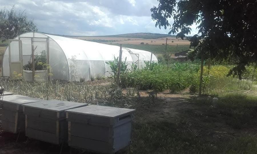 Casă individuală cu 4 camere cu Garaj în Crucea