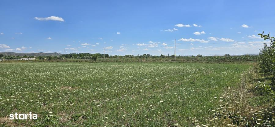 Teren de 23020 mp, în Bonț