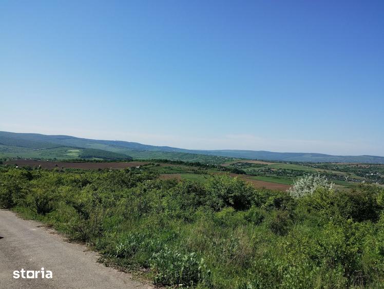Teren de 350 mp, în Bârnova