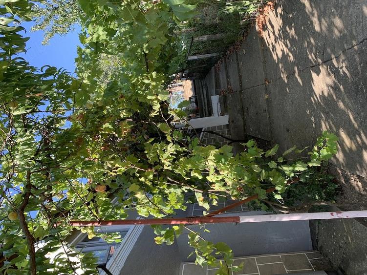 Casă cu Teren 1700 Mp în Central