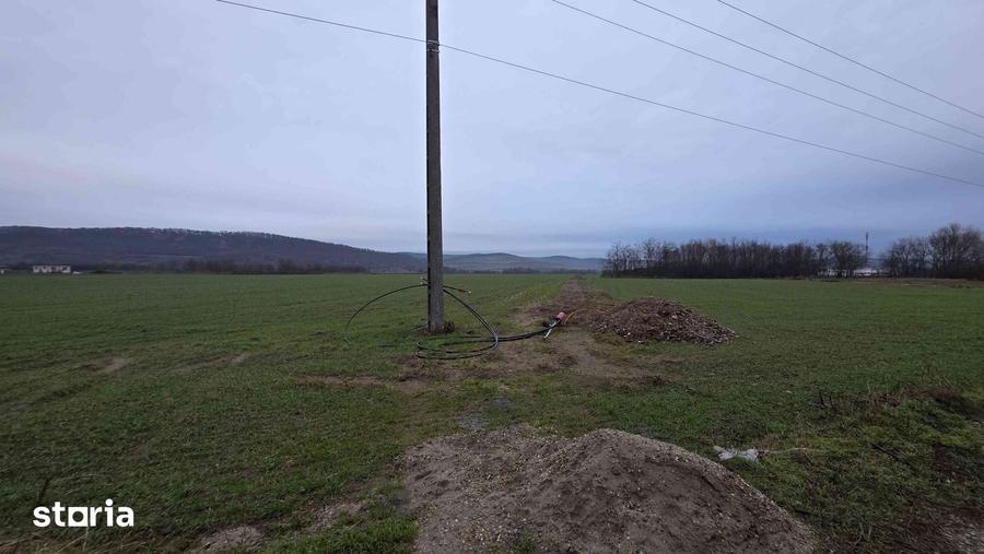 Teren de 520 mp, în Oșorhei