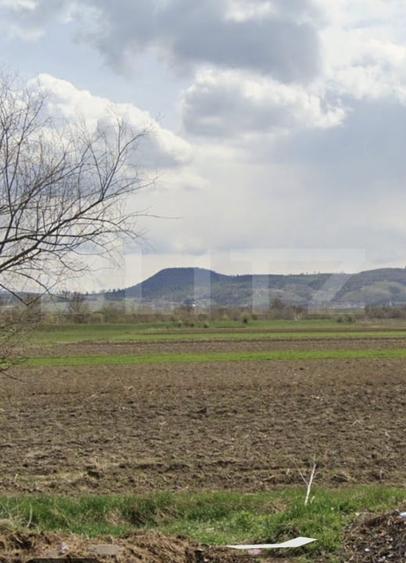 Teren agricol extravilan de 17400 mp, în Rupea