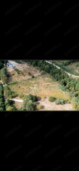 Teren de 5000 mp, în Borlova