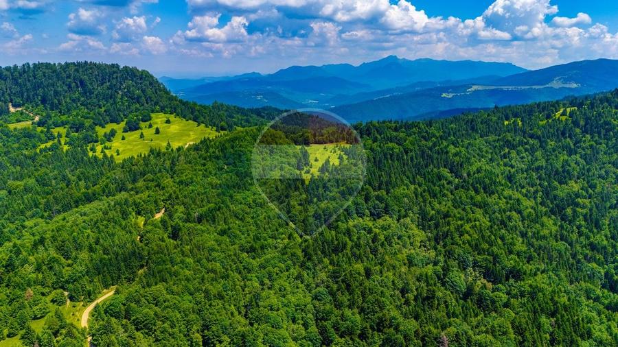 Teren agricol extravilan de 7000 mp, în Gârcini