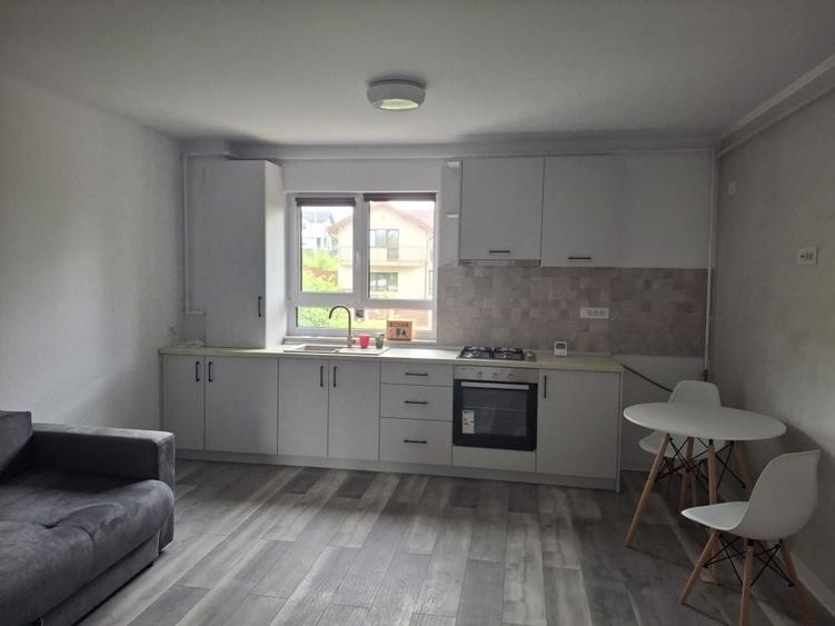 Apartament cu 2 camere semidecomandat în Rediu