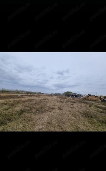 Teren de 2000 mp, în Tărtășești