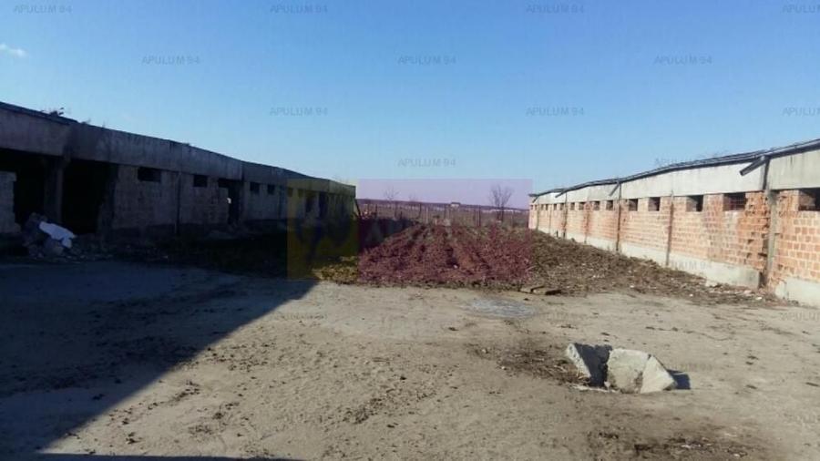 Teren Construcții intravilan de 15750 mp, în Balotești