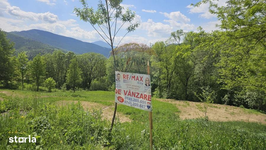 Teren de 2910 mp, în Hangu