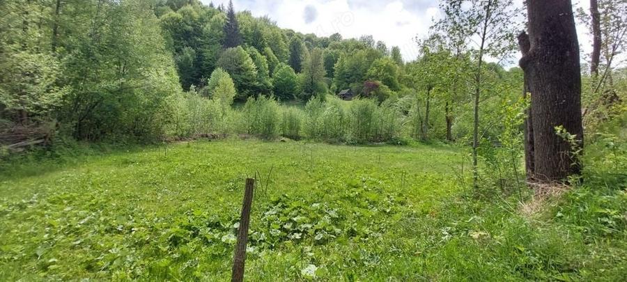 Teren de 12820 mp, în Agăș