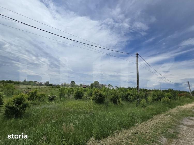 Teren de 3000 mp, în Produlești