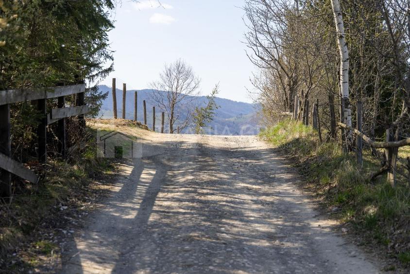Teren Construcții intravilan de 3791 mp, în Poiana Mărului