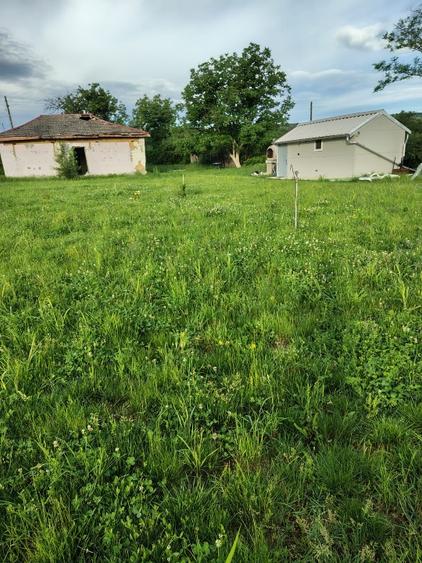 Teren Construcții intravilan de 2000 mp, în Rasnicu Oghian