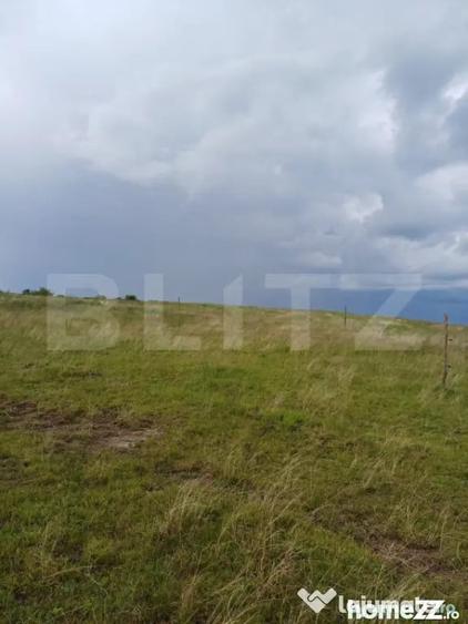Teren de 1249 mp, în Copăceni
