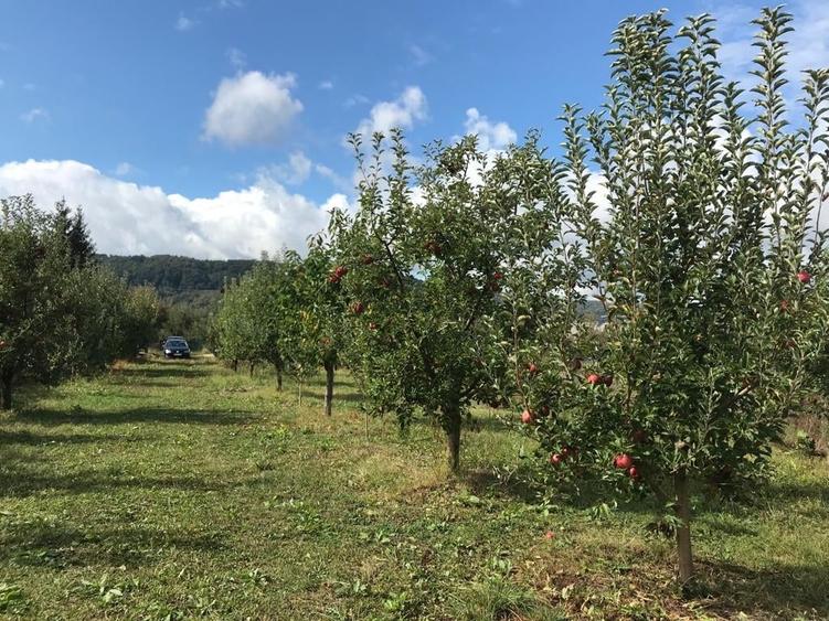 Casă cu 2 camere cu Teren 1200 Mp în Central