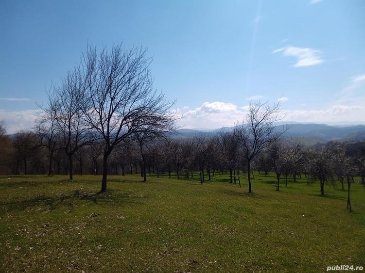 Teren de 17264 mp, în Pietroasa