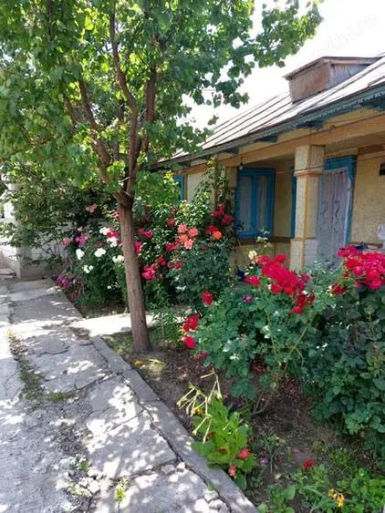 Casă cu 4 camere cu Teren 1600 Mp în Tudor Vladimirescu