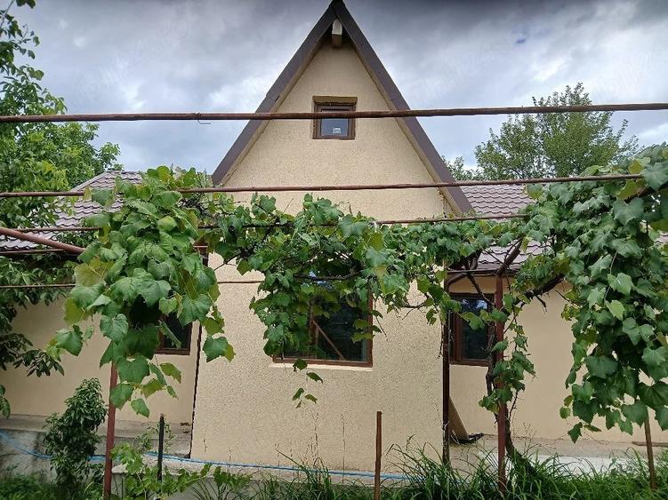 Casă cu Teren 2500 Mp în Brițcani