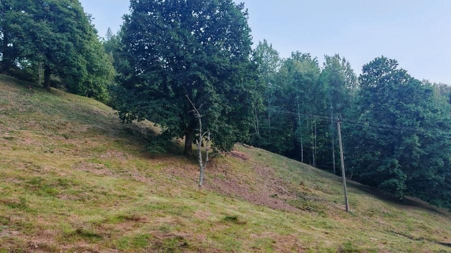 Teren de 7000 mp, în Grădiștea de Munte