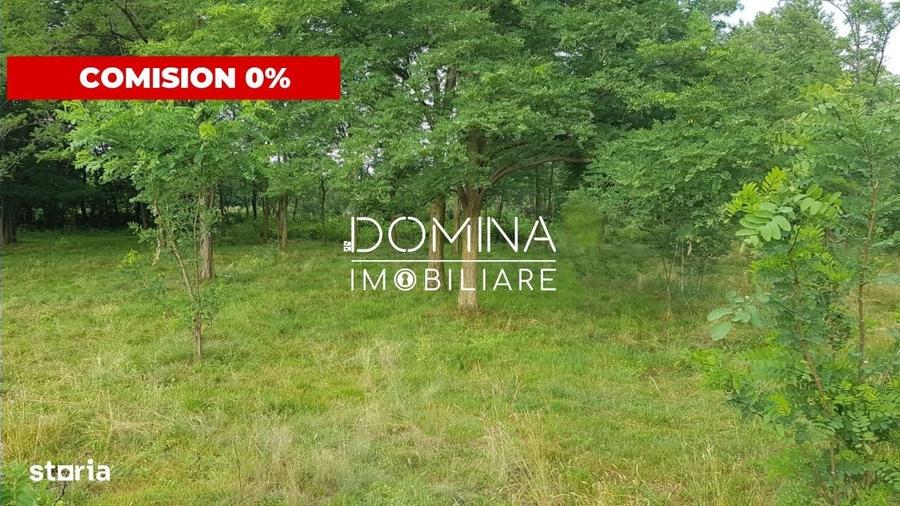 Spațiu comercial, în Polovragi
