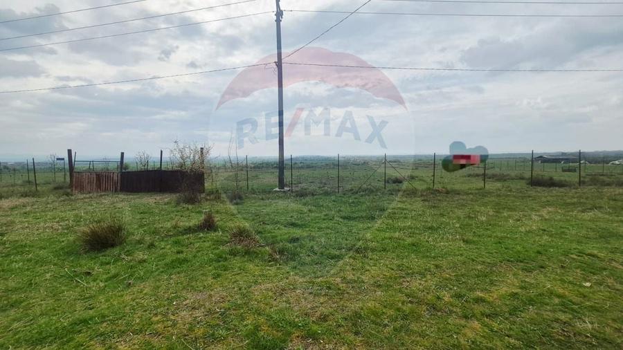 Teren Construcții intravilan de 5000 mp, în Sud