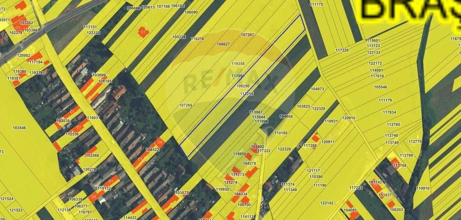 Teren agricol intravilan de 6000 mp, în Turcheș