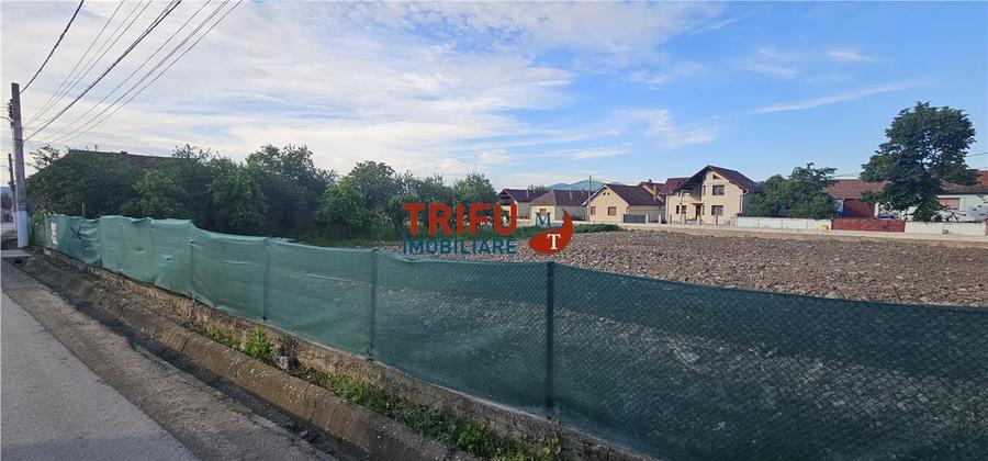 Teren Construcții intravilan de 2453 mp, în Ighiu