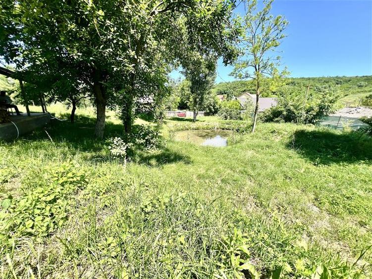 Casă individuală cu 2 camere cu Teren 1000 Mp în Probota