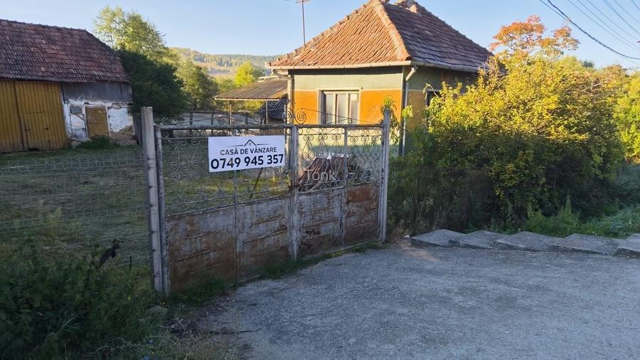 Casa de vanzare Vanatori