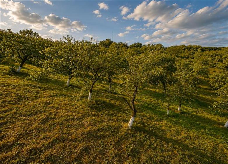 Teren Construcții extravilan de 4500 mp, în Exterior Est