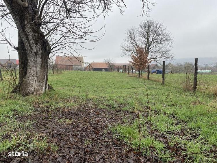 Teren de 1203 mp, în Comana