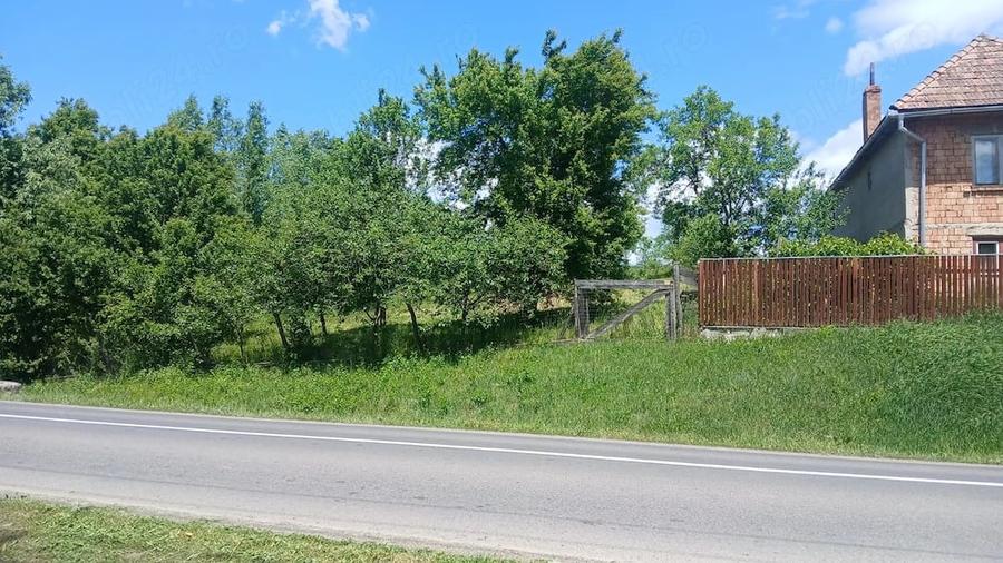Casă cu Teren 2400 Mp în Tâmpa