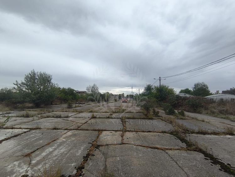 Teren Construcții intravilan de 45500 mp, în Albert