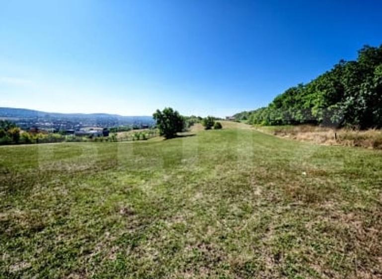 Teren Construcții intravilan de 10000 mp, în Unirii