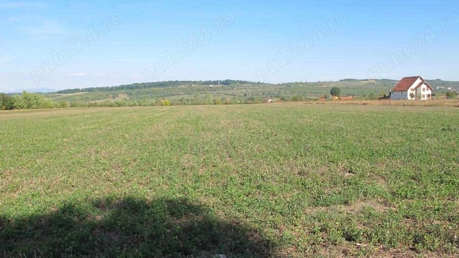 Teren de 3000 mp, în Central
