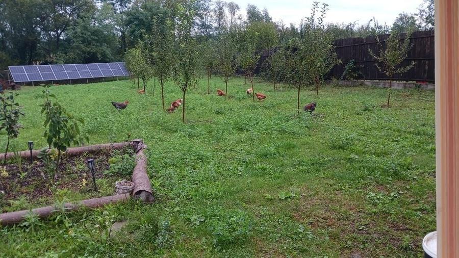 Proprietate de vanzare in Plopu, Prahova - 1