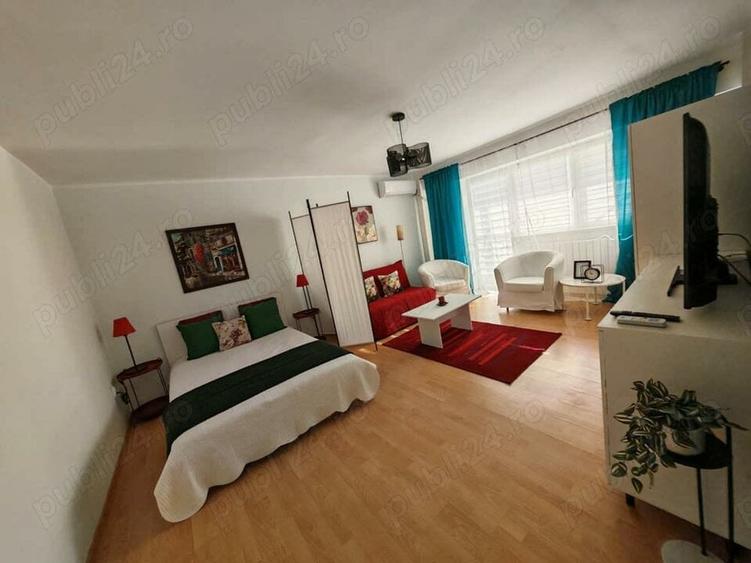 Garsonieră decomandată în Timpuri Noi