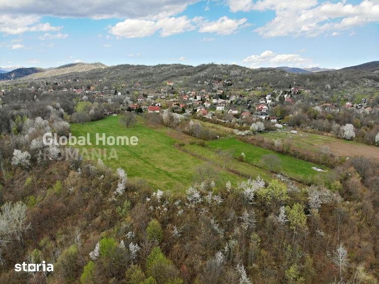Mountain Plateau - 23.345 SQM - Exclusive Estate | Jud Prahova - Valea - 1