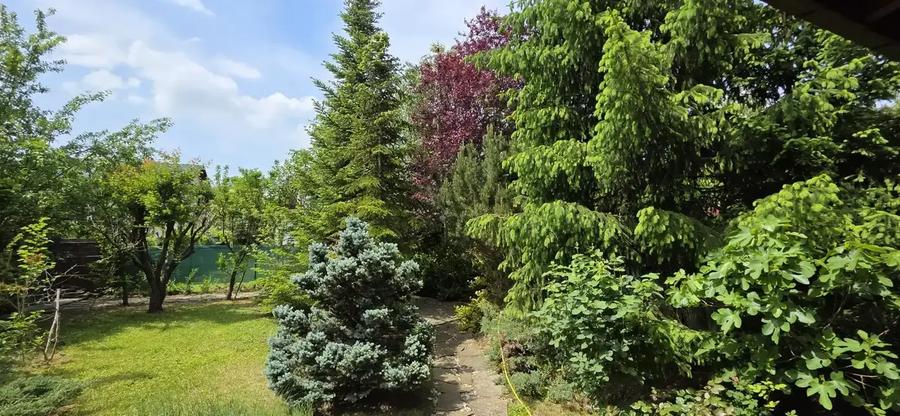 Vila 5 Camere Individuala Paradisul Verde | Corbeanca | Gradina Matura - 25