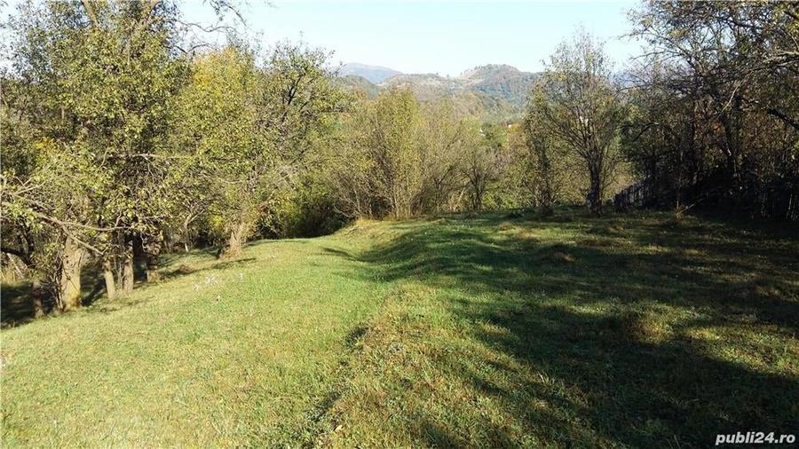 Teren de 2280 mp, în Cerașu