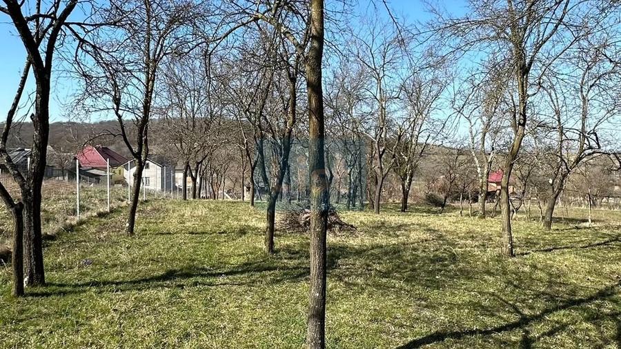 Casă din cărămidă, teren 33 ari, aproape de padure, Manau, Maramureș - 3