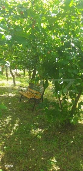 Teren de 1617 mp, în Mintiu Gherlii