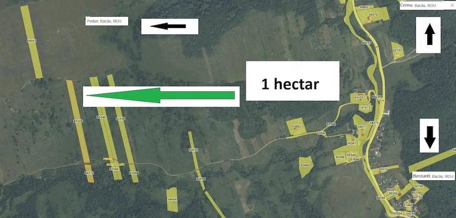 Teren de 14817 mp, în Prohozești