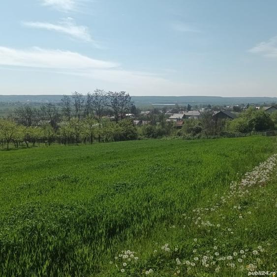Teren în Micești