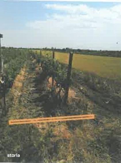 Teren de 1200 mp, în Ulmeni