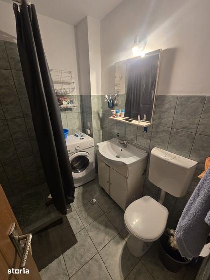 Apartament 1 camera strada Bucegi Cartierul Mana?tur - 8